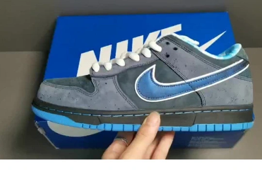 Low Nike Lobster 313170-342 Blue Dunk - SB 0112